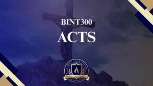 BITH300 ACTS