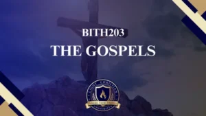 BINT203 THE GOSPELS