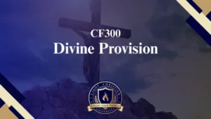 CF300 Divine Provision